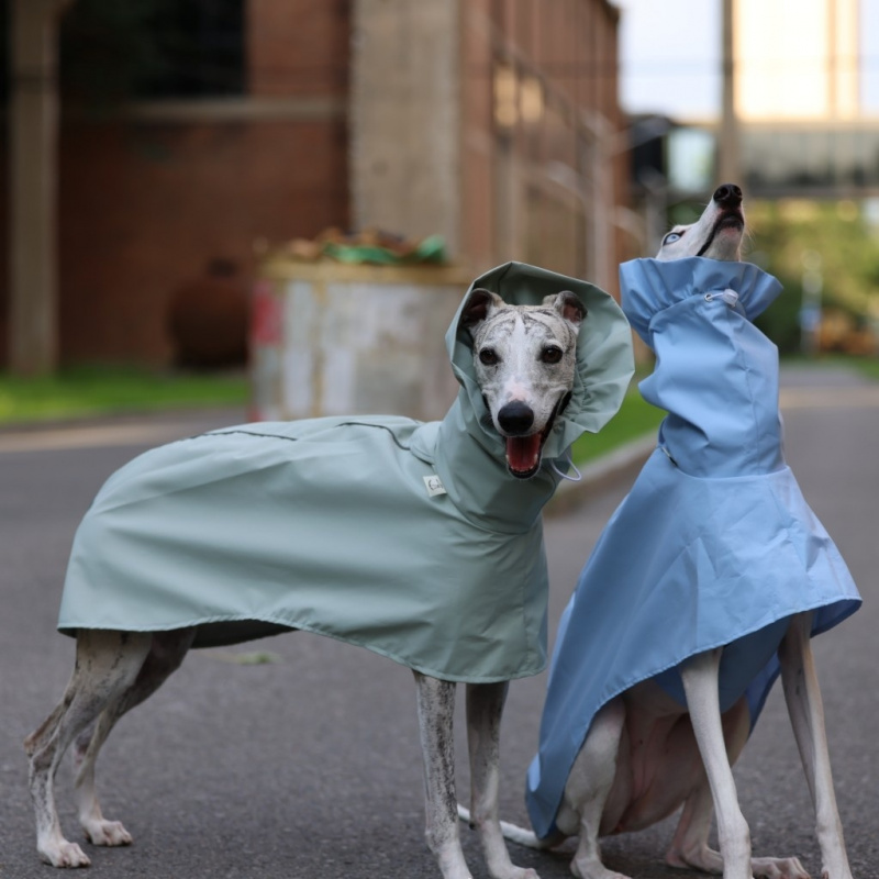 Dog Raincoat - Impermeable de Color Sólido para Galgo