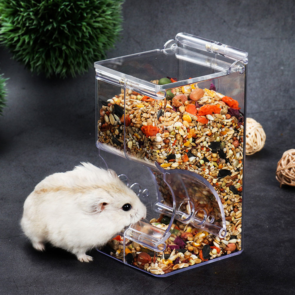 Automatic Pet Feeder - ﻿ 2-1 Uds lindo hámster pequeño
