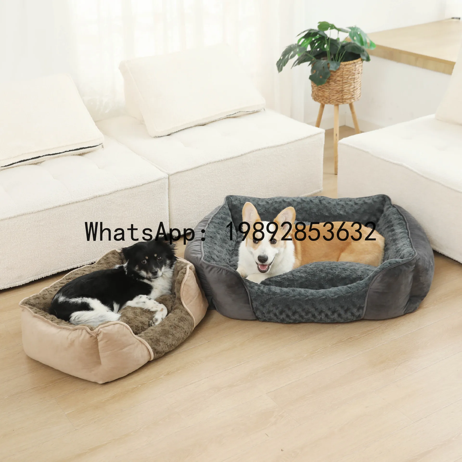 Pet X Supplies & Tack - Casa para gatos X, caseta para