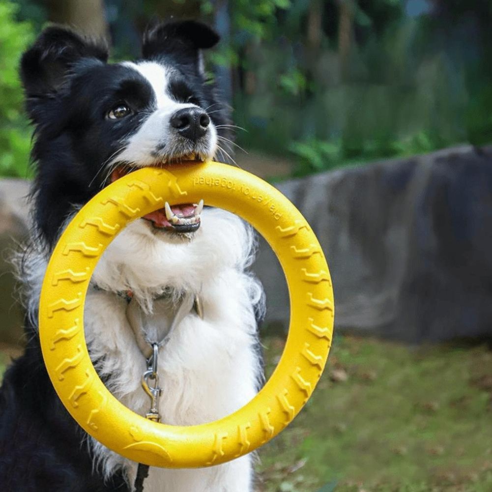Pet Dental Chew Toy - Juguetes de anillo para perros, indestructibles,