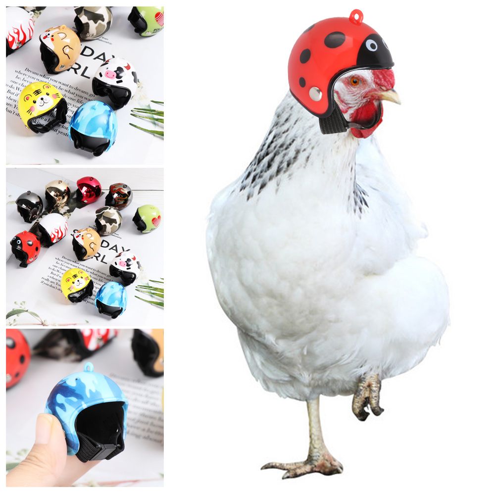 Pet X Supplies & Tack - Divertidos Accesorios para Mascotas de ABS,
