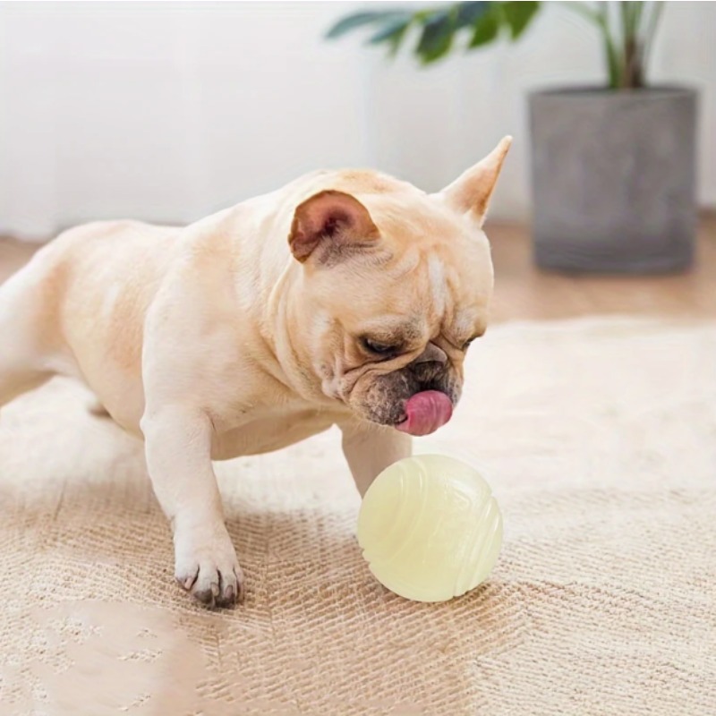 Pelota de Goma Luminosa para P - Pet Dental Chew Toy reseña y precio