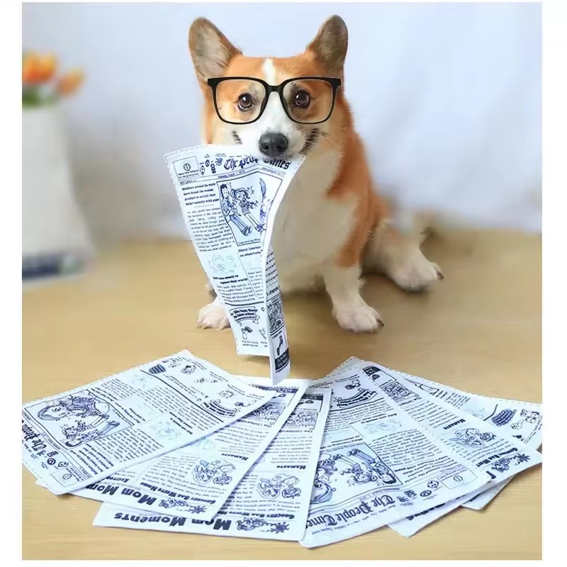 Juguetes para perros de papel  - Pet Dental Chew Toy reseña y precio