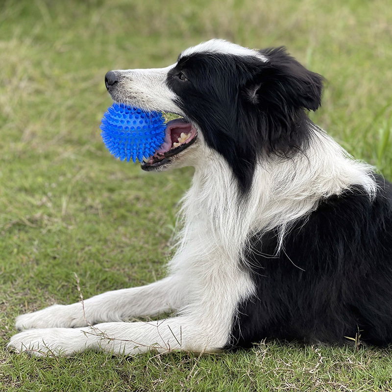 Juguete de Peluche con Sonido  - Pet Dental Chew Toy reseña y precio