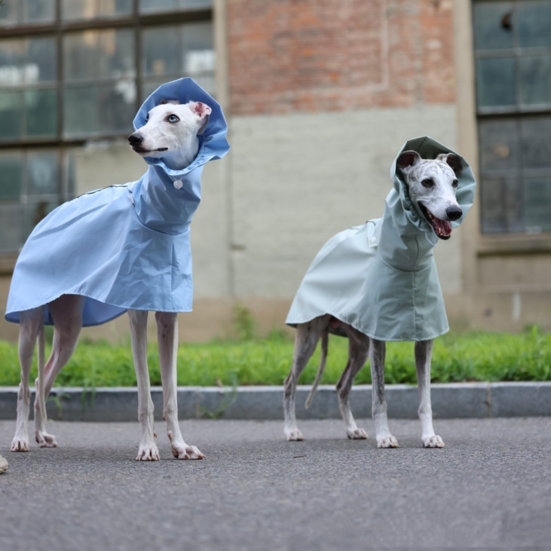 Impermeable de Color Sólido pa - Dog Raincoat reseña y precio