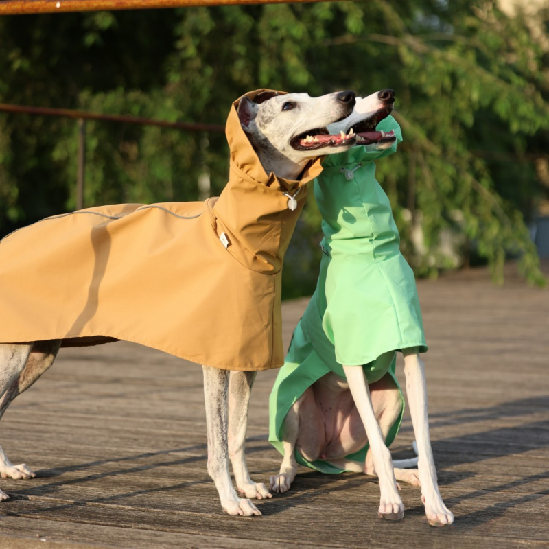 Impermeable de Color Sólido pa - Dog Raincoat reseña y precio