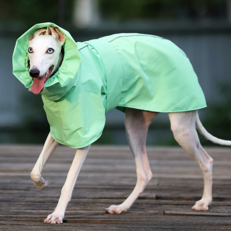 Impermeable de Color Sólido pa - Dog Raincoat reseña y precio