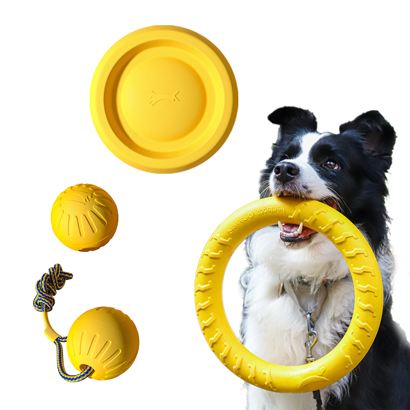 Juguetes duraderos para perros - Pet Dental Chew Toy reseña y precio