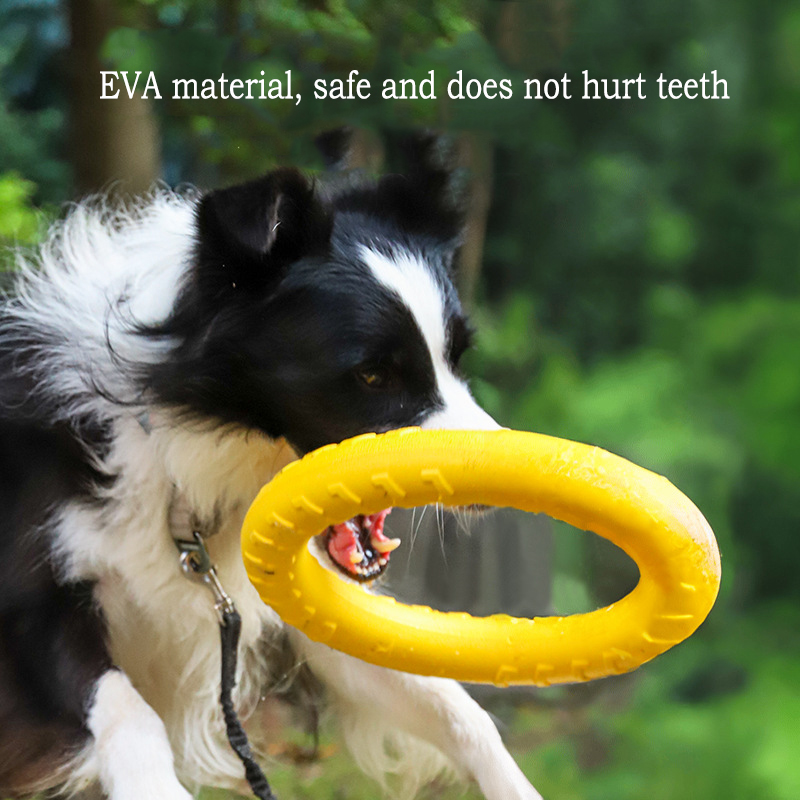 Juguetes duraderos para perros - Pet Dental Chew Toy reseña y precio