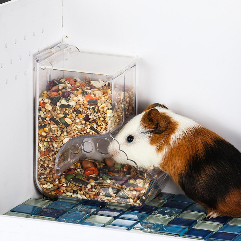    2-1 Uds lindo hámster pequ - Automatic Pet Feeder reseña y precio