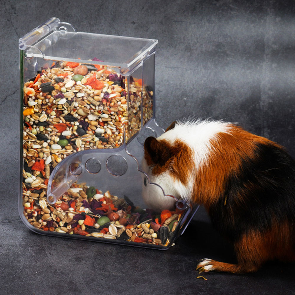    2-1 Uds lindo hámster pequ - Automatic Pet Feeder reseña y precio