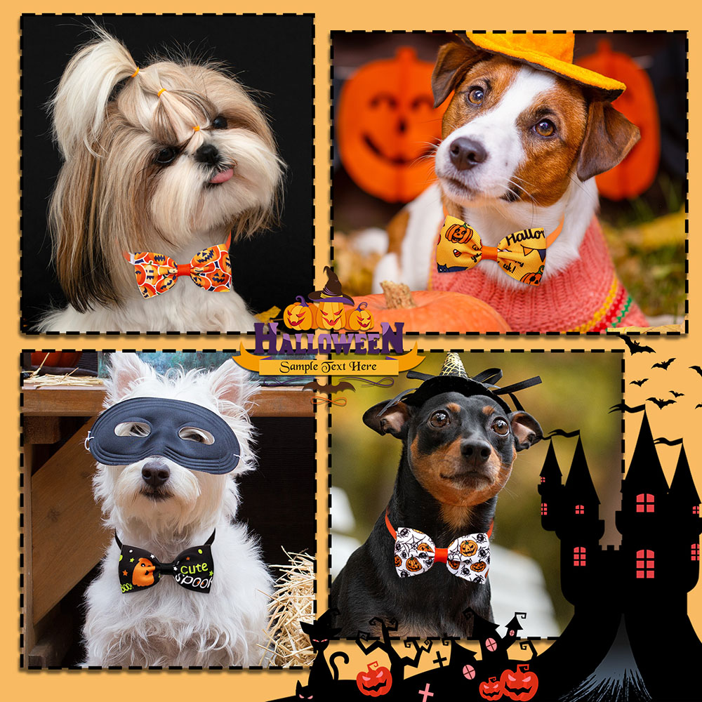 Accesorios de Halloween para p - Pet Supplies Coupon reseña y precio