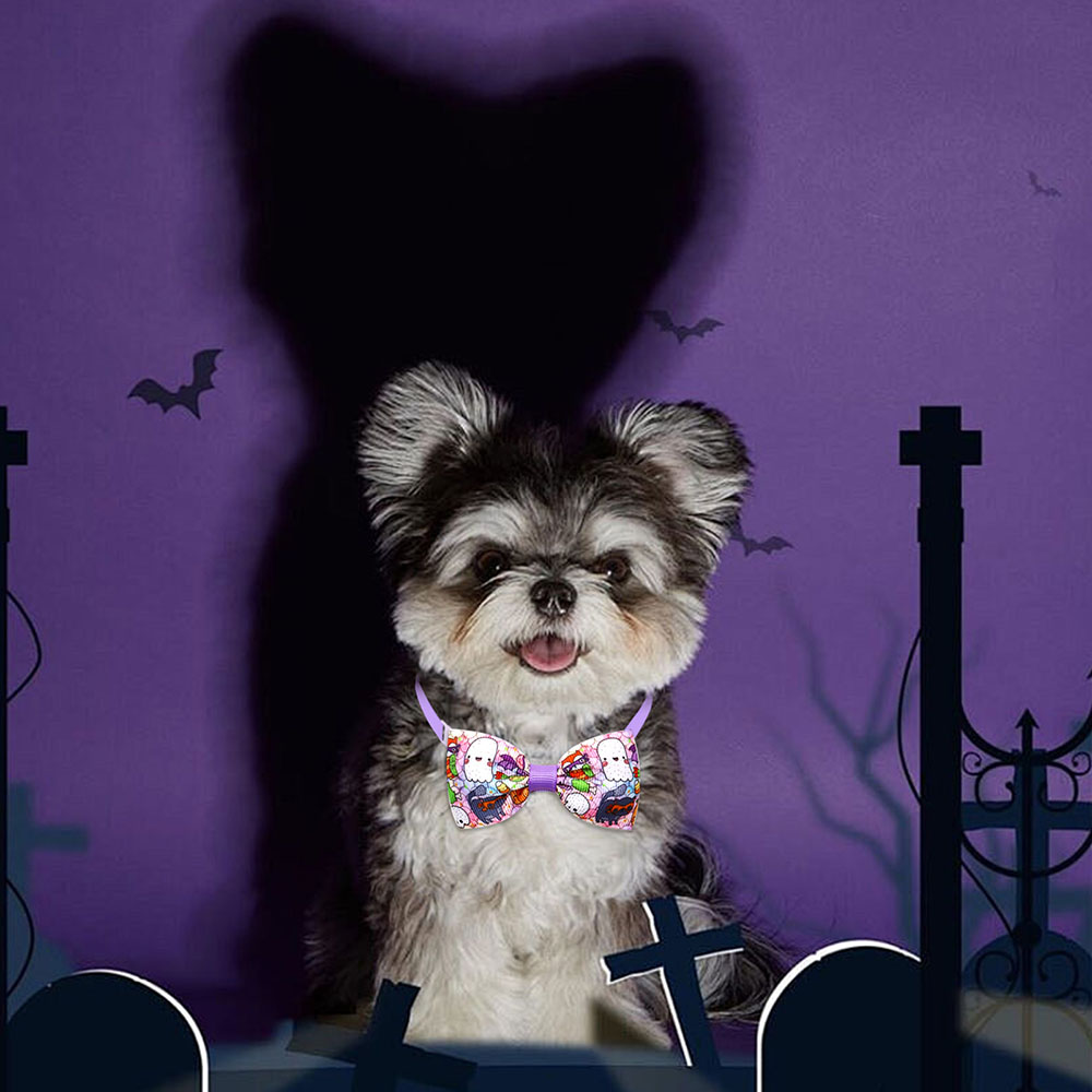 Accesorios de Halloween para p - Pet Supplies Coupon reseña y precio