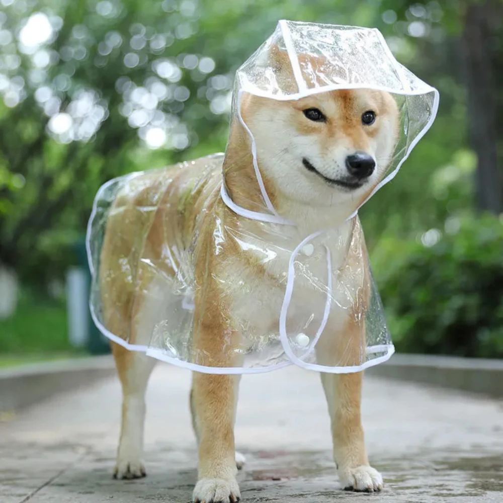 Chubasquero para perros, ropa  - Dog Raincoat reseña y precio