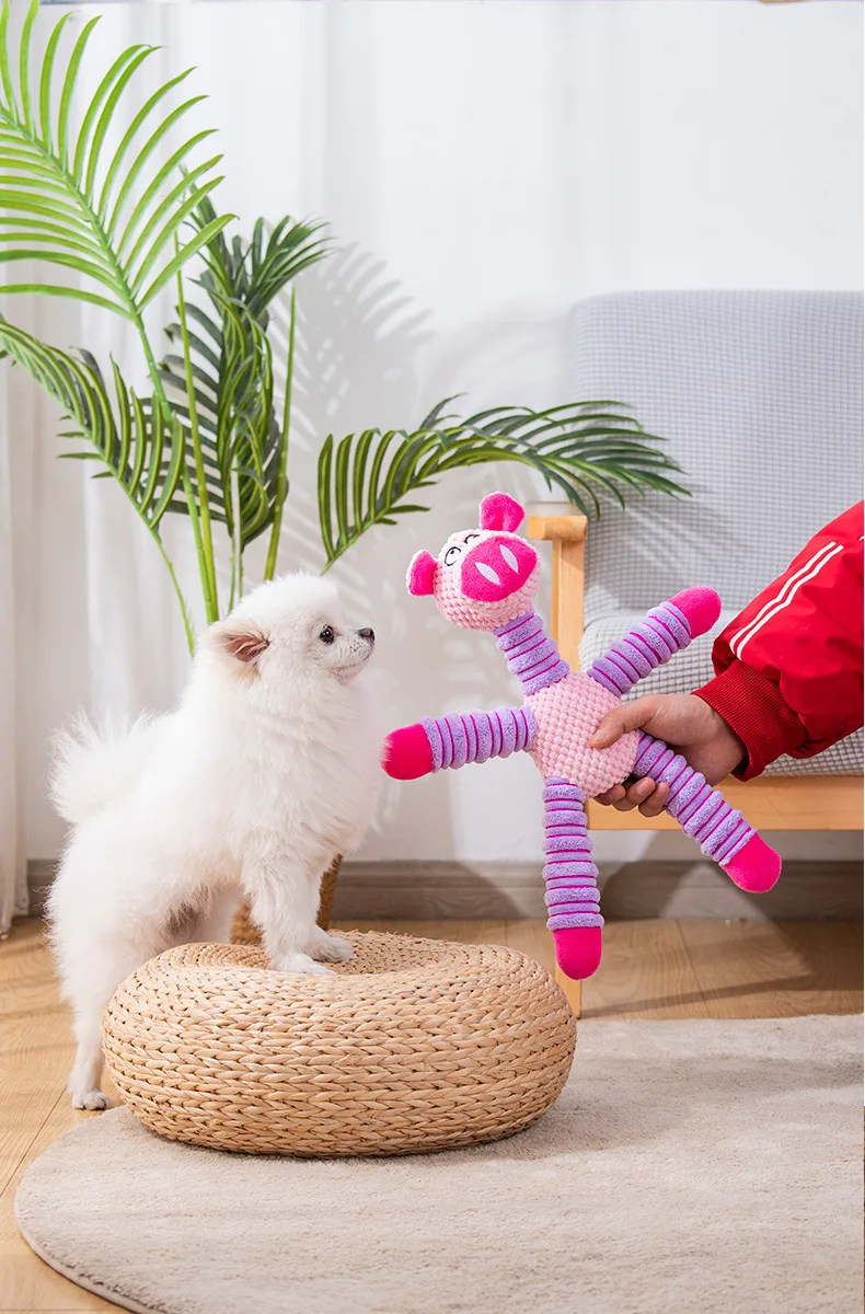 Juguetes Indestructibles para  - Pet Dental Chew Toy reseña y precio