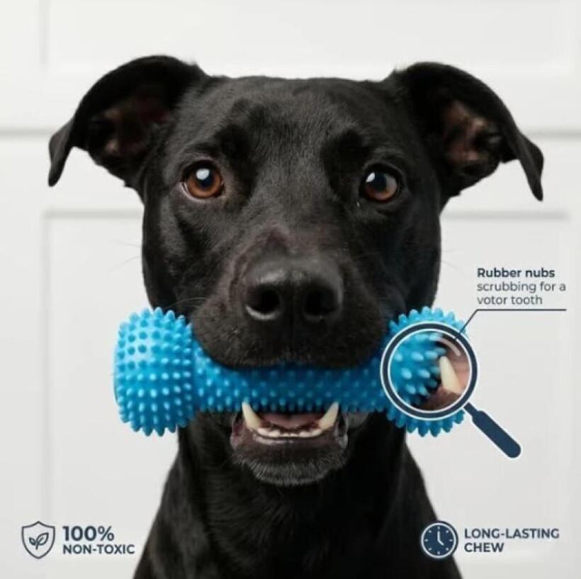 Juguete Masticable Dental para - Pet Dental Chew Toy reseña y precio