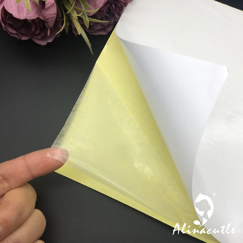 Cinta adhesiva transparente de - Pet X Supplies & Tack reseña y precio