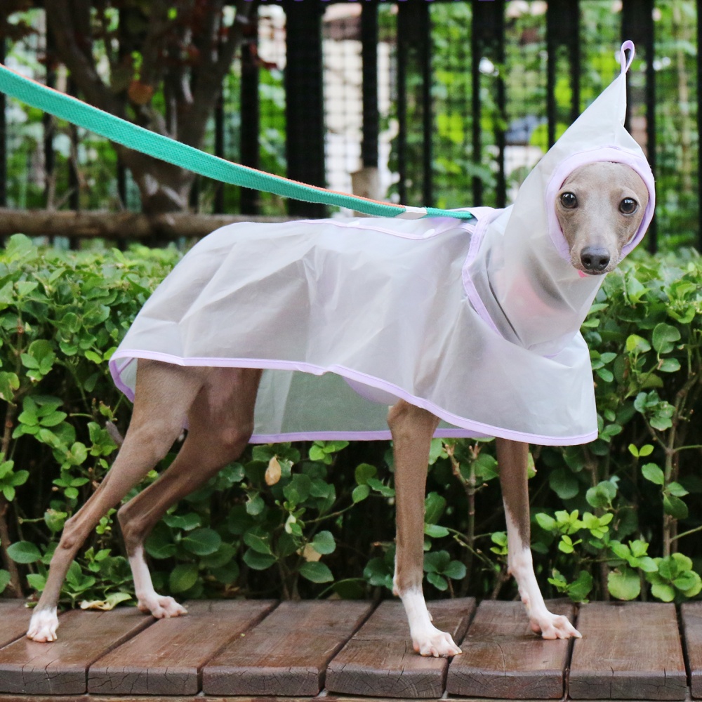 Capa fija impermeable a prueba - Dog Raincoat reseña y precio