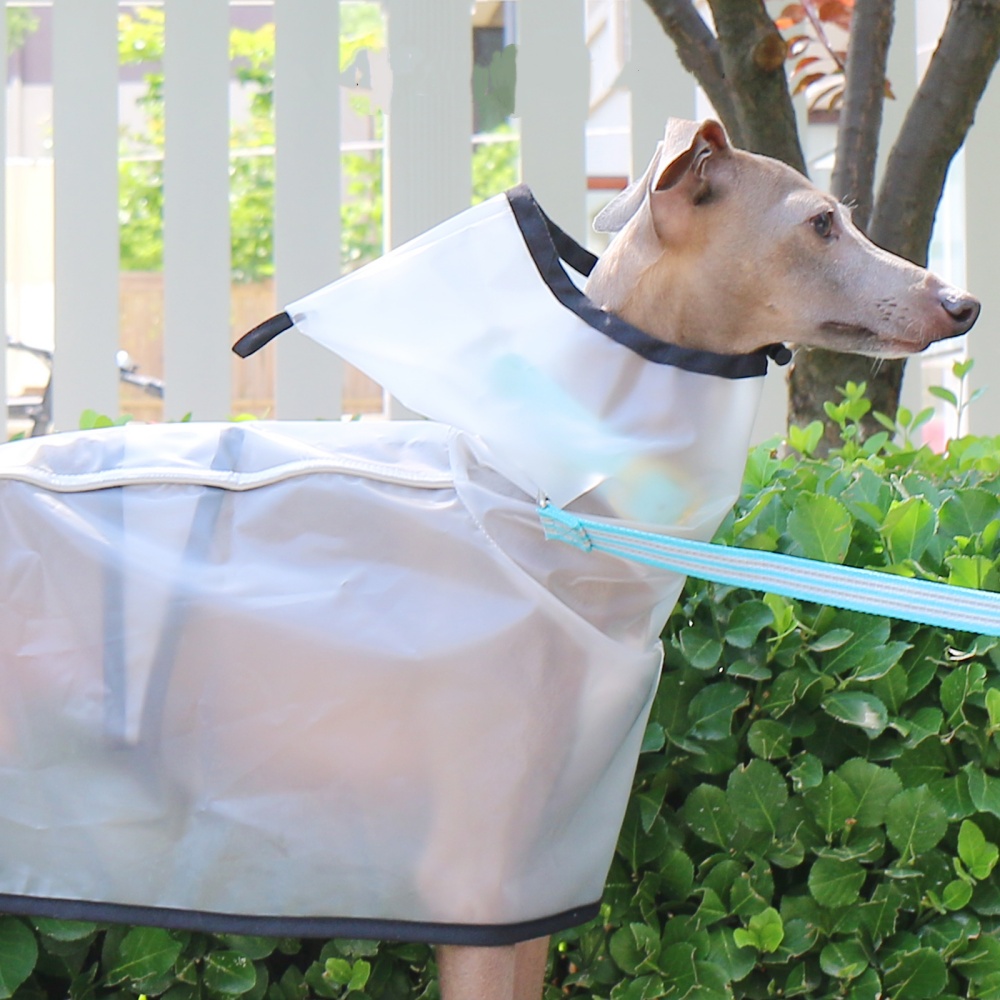 Capa fija impermeable a prueba - Dog Raincoat reseña y precio