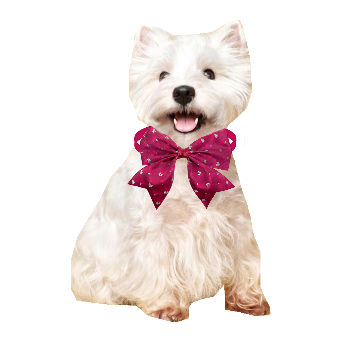 Pajarita de estilo romántico p - Pet Supplies Coupon reseña y precio