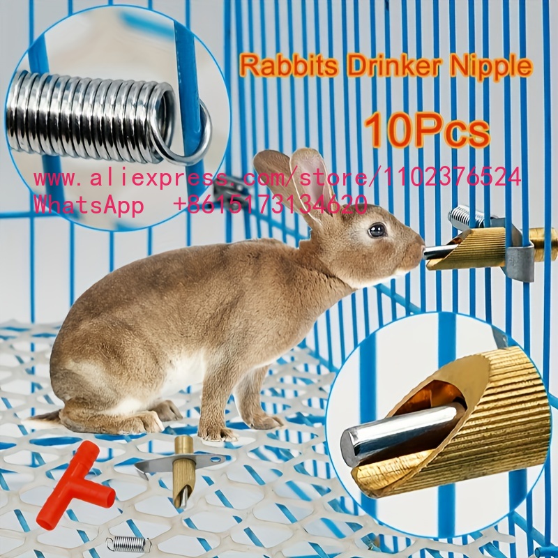 10 Piezas de Bebederos Automát - Automatic Pet Feeder reseña y precio