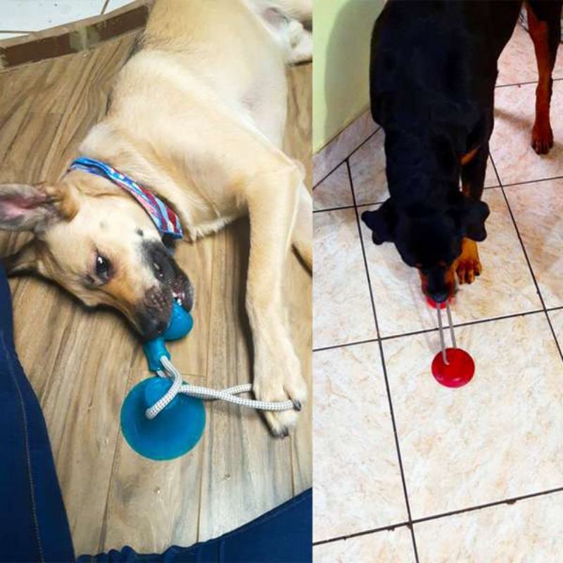Juguete Resistente con Ventosa - Pet Dental Chew Toy reseña y precio