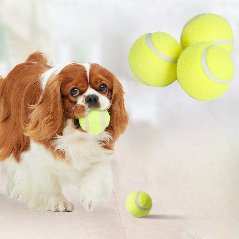Juguete Interactivo para Perro - Pet Dental Chew Toy reseña y precio