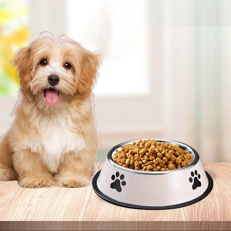 Tazón de Acero Inoxidable para - Pet Supplies Coupon reseña y precio