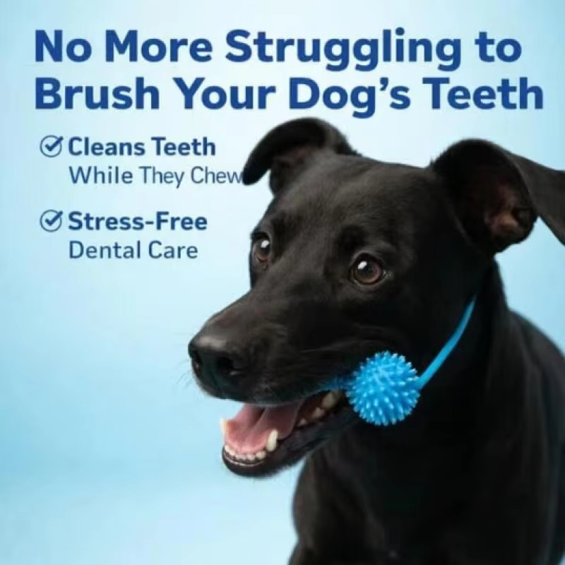 Juguete Masticable para el Cui - Pet Dental Chew Toy reseña y precio