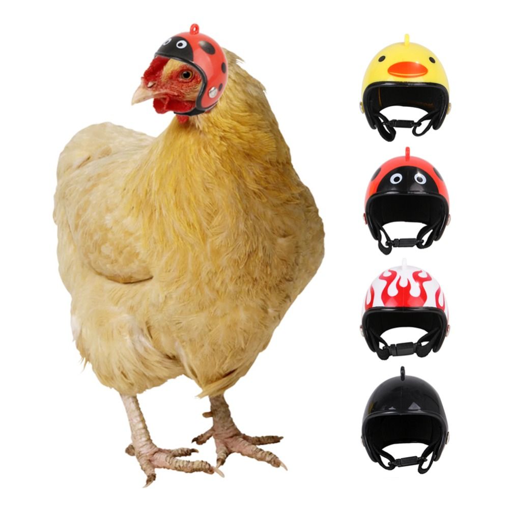 ABS Artículos para Mascotas, D - Pet X Supplies & Tack reseña y precio