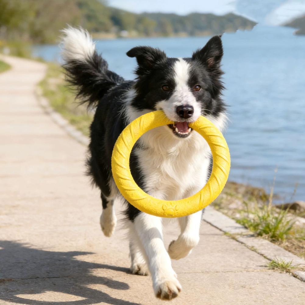 Juguetes de anillo para perros - Pet Dental Chew Toy reseña y precio