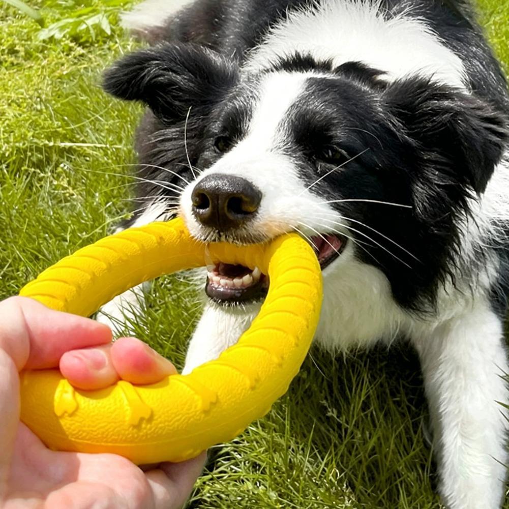 Juguetes de anillo para perros - Pet Dental Chew Toy reseña y precio