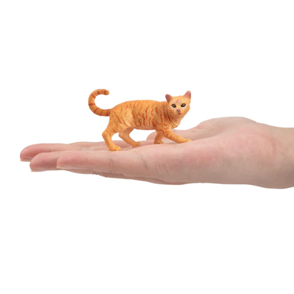 Toymany simulación estriando g - Pet Supplies Delivery reseña y precio
