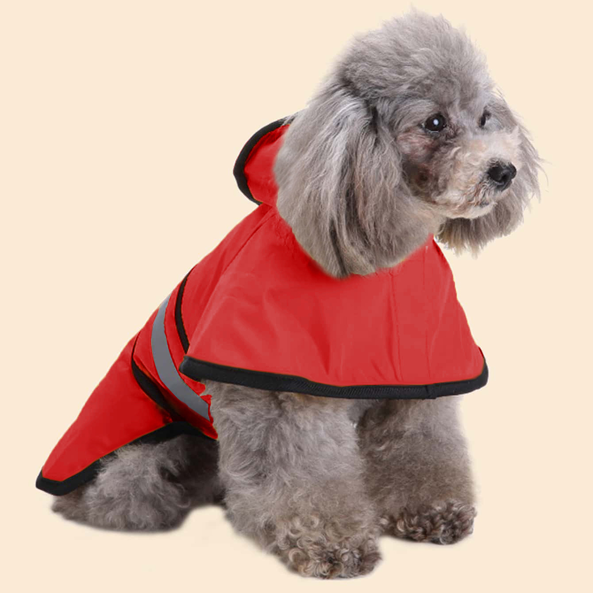 Primavera Verano impermeable r - Dog Raincoat reseña y precio